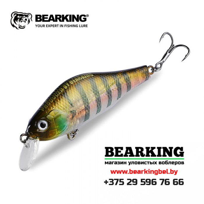 BearKing Khamsin 70 SP-SR - Цвет G