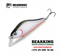 BearKing Khamsin 70 SP-SR - Цвет H