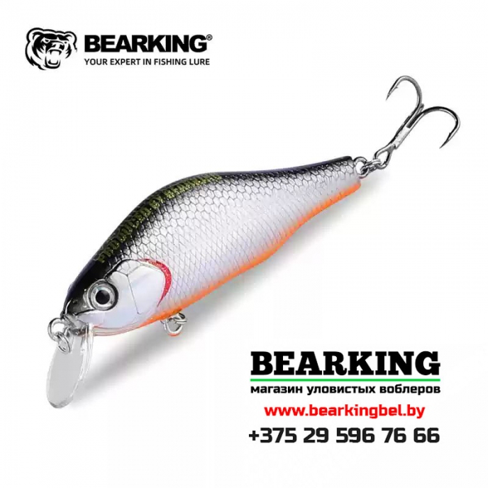 BearKing Khamsin 70 SP-SR - Цвет H