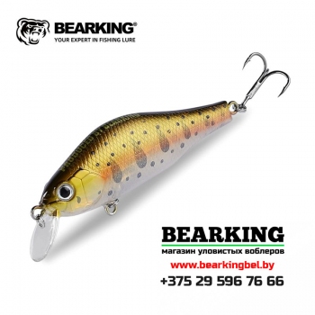 BearKing Khamsin 70 SP-SR Цвет I