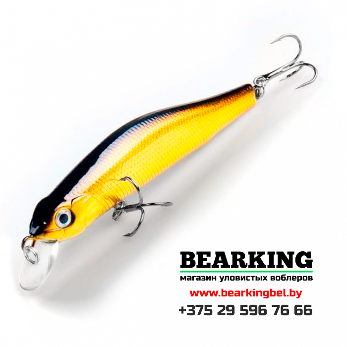 Bearking Orbit 80SP Цвет C
