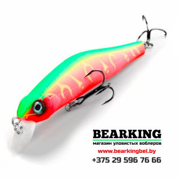 Bearking Orbit 80SP Цвет N