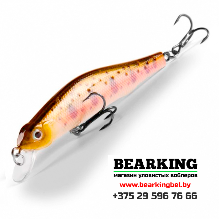 Bearking Orbit 80SP Цвет U
