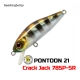 Pontoon 21 Crack Jack 78SP-SR