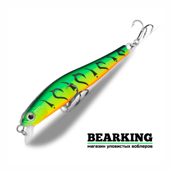 Bearking Rigge 70SF Цвет B