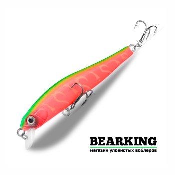 Bearking Rigge 70SF Цвет C