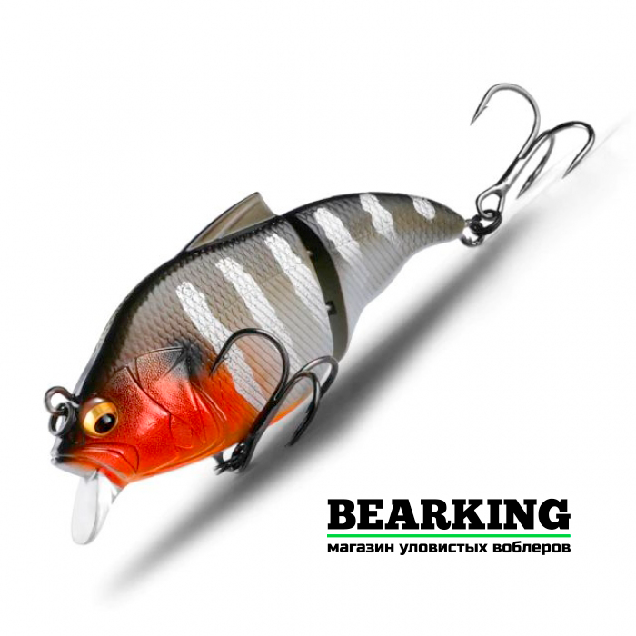 Bearking Vibration-X Vatalion 71SS Цвет C