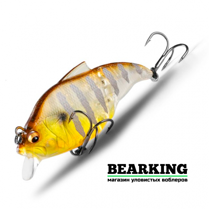 Bearking Vibration-X Vatalion 71SS Цвет D