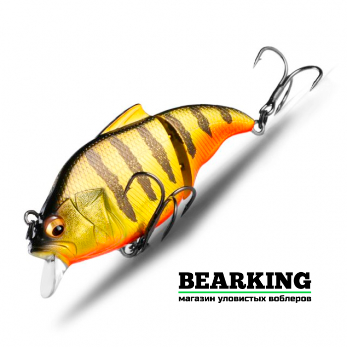 Bearking Vibration-X Vatalion 71SS Цвет F